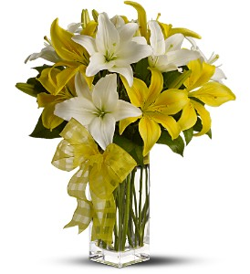 Pick a Lily - 523 Vase Arrangement