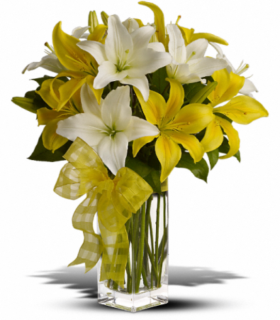 Pick A Lily HFWEB523