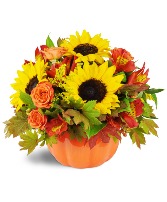 Pick of the Patch Pumpkin Bouquet 