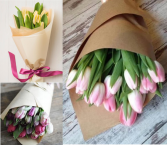 Fresh Dutch Grown Tulips - GORGEOUS! Flowers, Wrapped