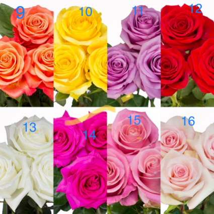 Pick your color. 9–16 Roses. Half or full dozen