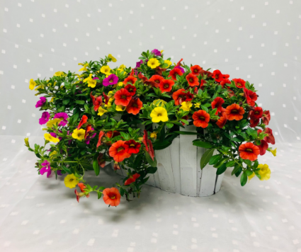 White Picket Fence Outdoor Planter