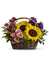 Picnic in the Park Basket