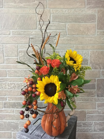 Pictures of Fall