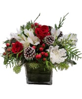 Pine cone Christmas Cut flowers and greens