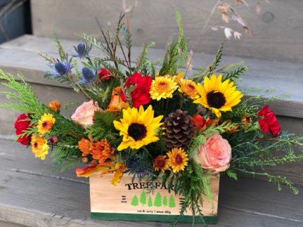 pine creek tree farm box centerpiece