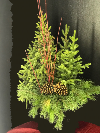 Pine Tops