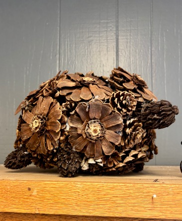 Pinecone Turtle  in Yorktown, VA | YORKTOWN FLOWER SHOPPE