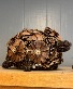 Pinecone Turtle 