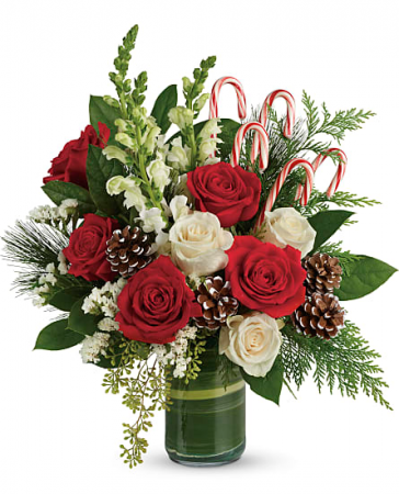 Pine and Candy $55.95, $60.95