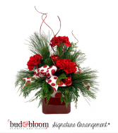 Pines and Polka Dots Bud & Bloom Signature Arrangement