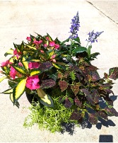 Pink and Lavender Mixed Porch Pot  PB253 