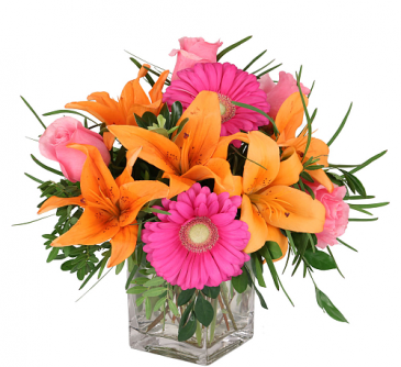 pink and orange