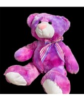 Pink and Purple Teddy Bear Plush