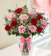 Pink and Red Roses  One Dozen