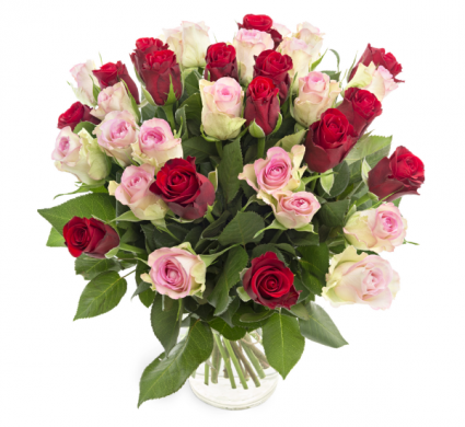 Pink and Red Roses