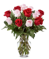 Pink and red roses  fresh floral