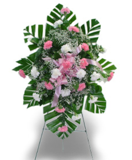 Pink and White Carnations Standing Spray  