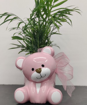 Pink Baby Bear Planter 