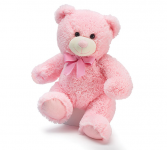 Pink Bear 