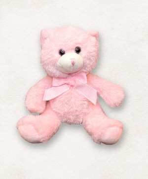 Pinky Bear 