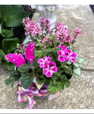 Pink Bloomer Garden Outdoor Planter in Fairview, OR | QUAD'S GARDEN - Home to Trinette's Floral Pink Bloomer Garden Outdoor Planter in Fairview, OR | QUAD'S GARDEN - Home to Trinette's Floral