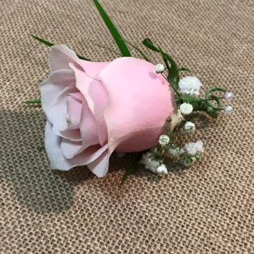 Pink Boutonniere  in Fairfield, CT | Blossoms at Dailey's Flower Shop