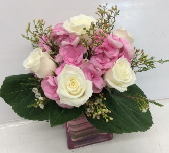 Pink Bubblegum Hydrangea Cube