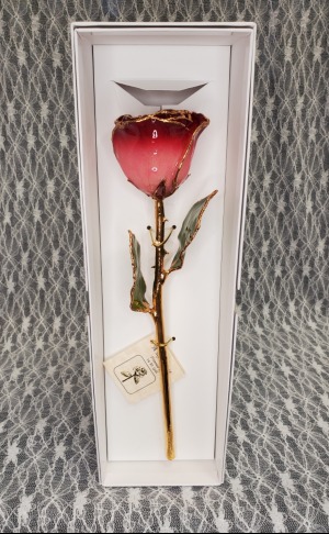 Pink & Burgandy Gold Dipped Rose 