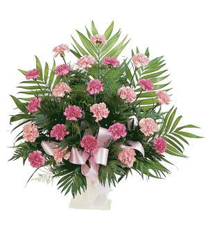 Pink Carnation Funeral Tribute