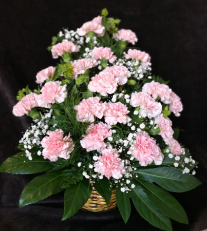 pink carnation in basket pink carnation in basket