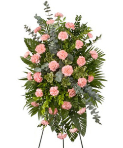 Pink Carnation Spray with asst. greenery 
