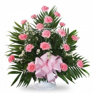 Pink carnations planter Fresh pink carnations in elegant planter