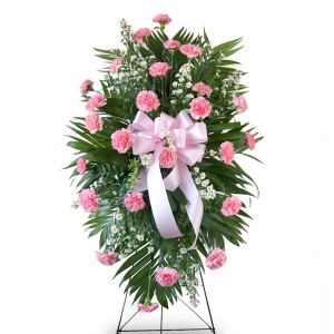 Pink Carnations Spray Beautiful pink carnations  standing spray 