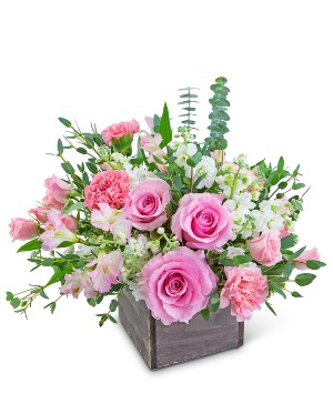 Pink Cashmere Flower Arrangement