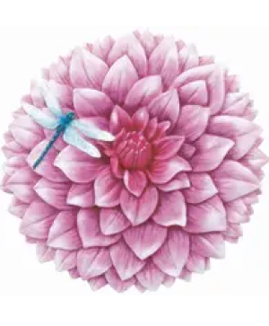 Pink Dahlia Stepping Stone Stone