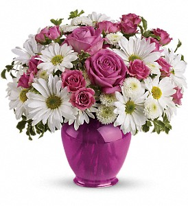 Pink Daisy Delight TEV07-1B