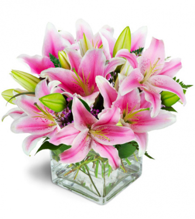 Pink Delight
