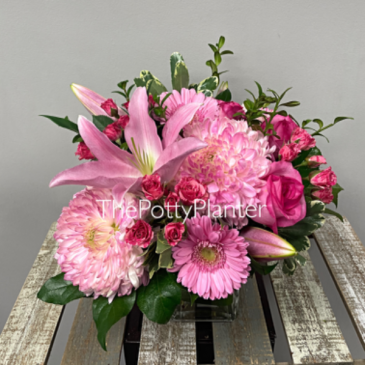 Pink Delight