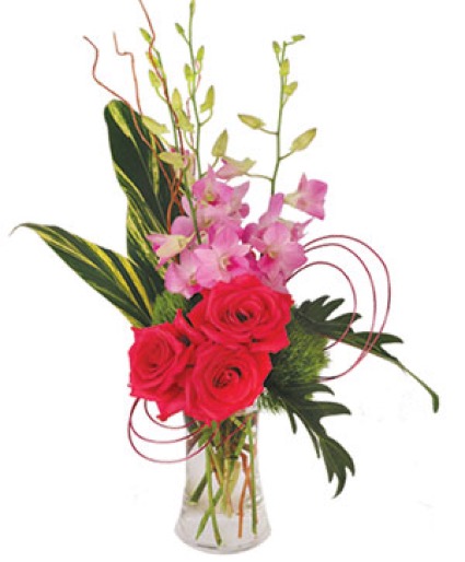 Pink Dendrobium Dream Floral Arrangement