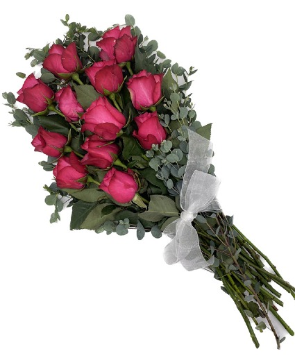 Pink Dozen Wrapped Roses Cellophane with ribbon wrap