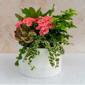 Pink Elegance Planter