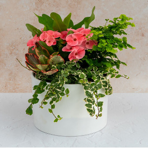 Pink Elegance Planter