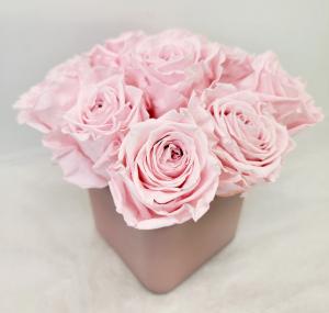 Pink "Forever" Rose Cube Preserved Roses