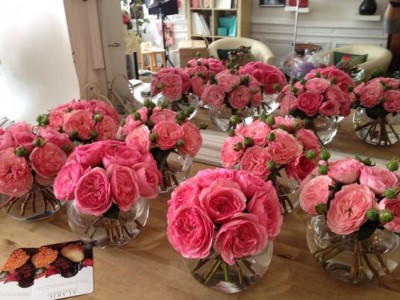 Pink Garden roses  Please Call for pricing 