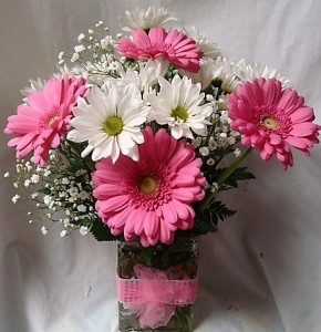 PINK GERBERAS AND WHITE DAISIES WITH BABY'S BREATH AND RIBBON DETAIL AROUND VASE!