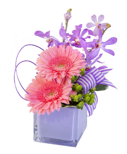 Pink Gerberas & Orchids Floral Design
