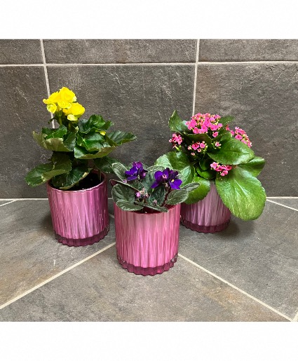 Pink Glass Blooming Planter 