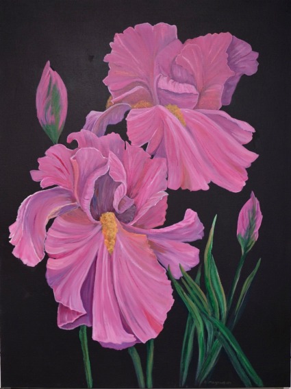 Pink Iris  Acrylic on Canvas 