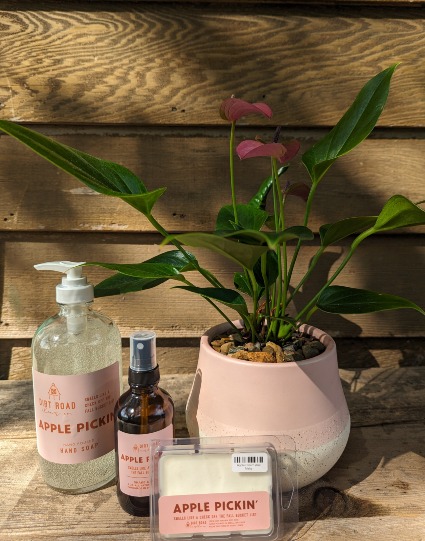 Pink Lady Plant Bundle
